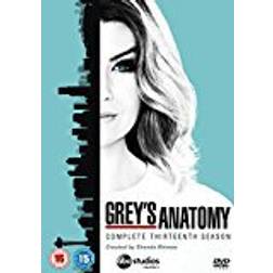Grey's Anatomy - Season 13 [DVD]